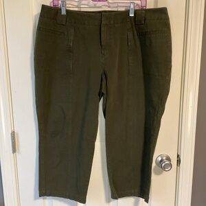 Olive green Coldwater Creek capri pants-18 women’s
